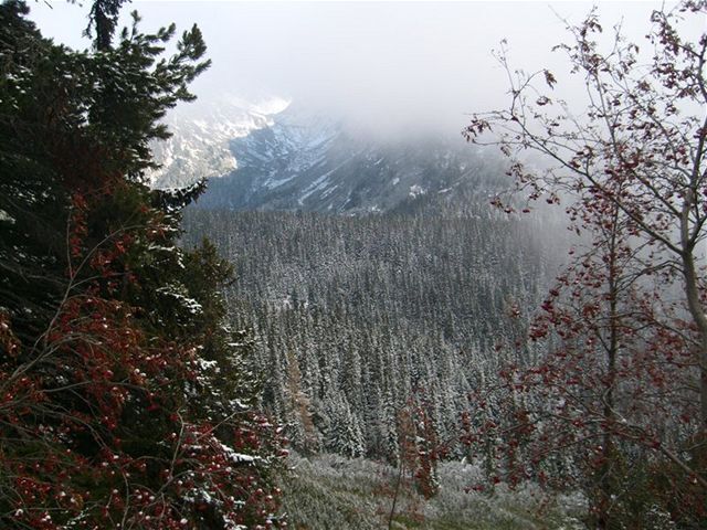 Vysoké Tatry