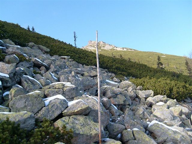 Vysoké Tatry
