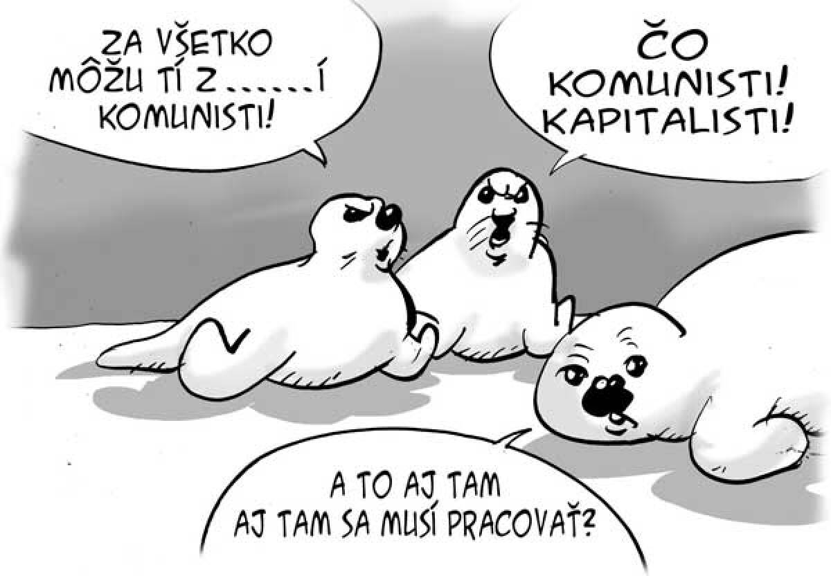 Danglár, 4.11.2009
