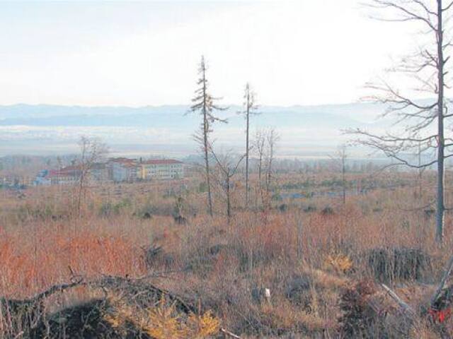 Tatry, kalamita