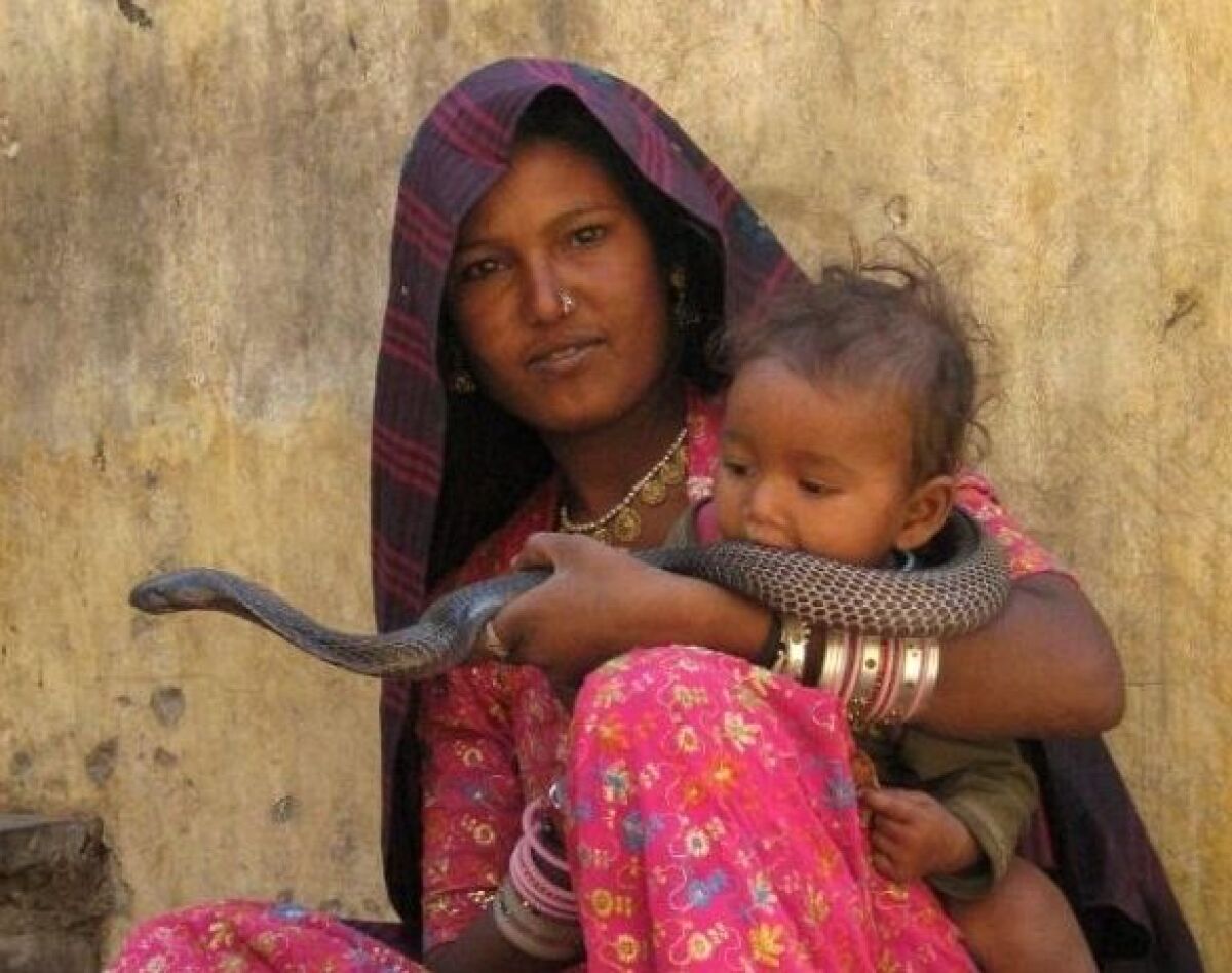 India, cestovanie