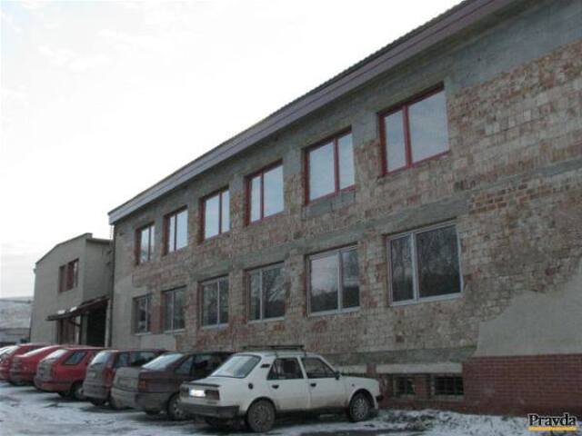 firma Arvik