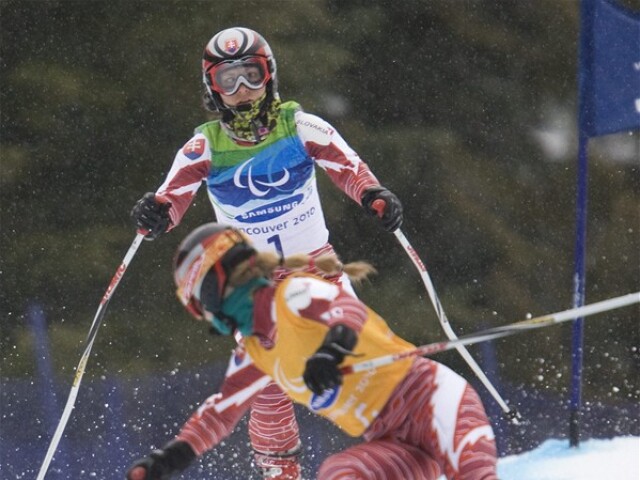 Farkašová Šubrtová