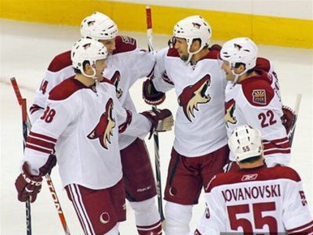 Phoenix Coyotes