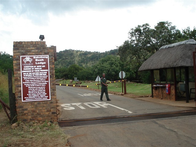 Bakubung vstup