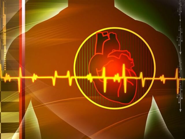 srdce, rytmus, ekg