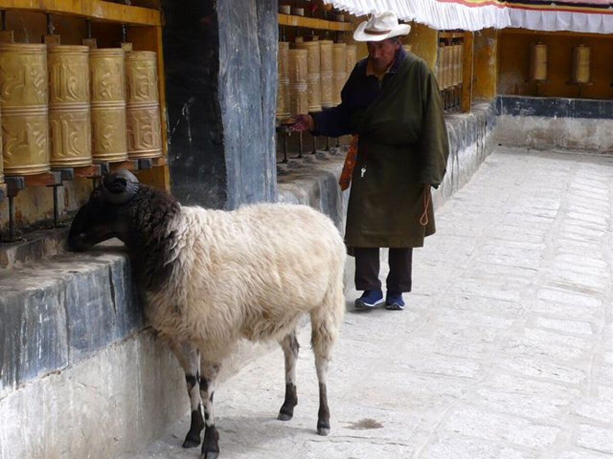 Tibet