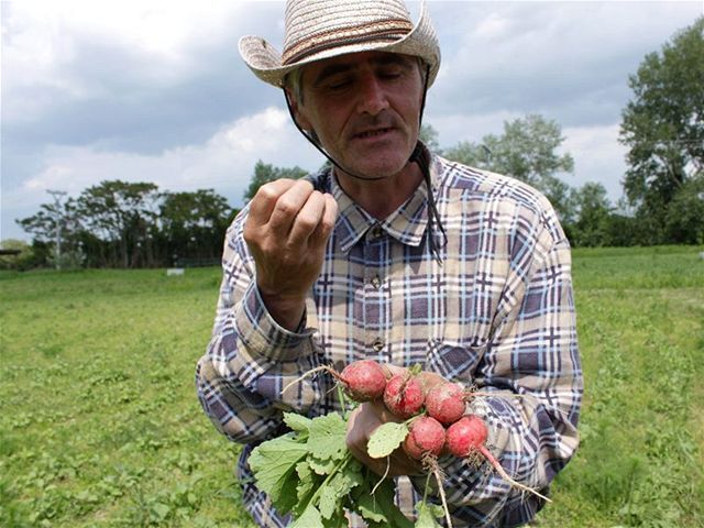 Farmár, reďkovka, Ján Šlimský
