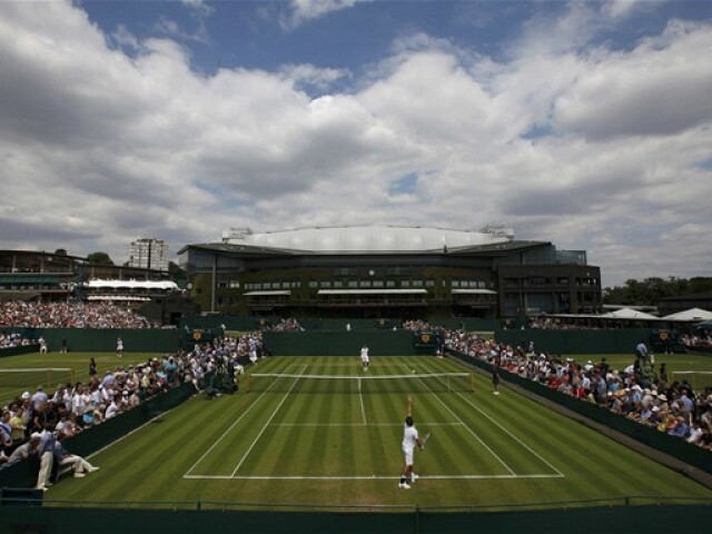 tenis wimbledon ilustračná