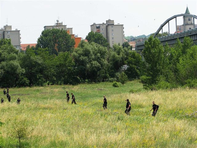 Policajti, pátranie