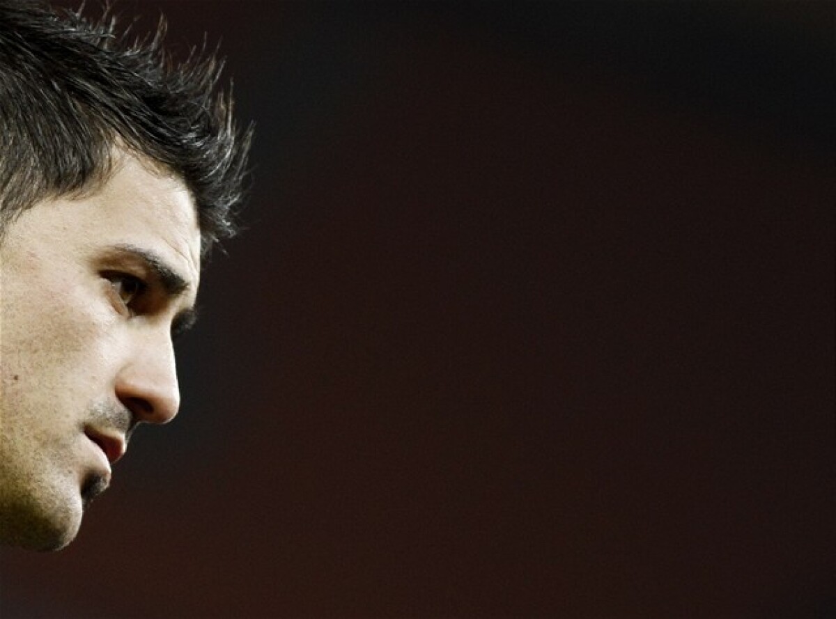 David Villa