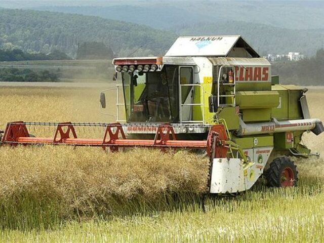 kombajn, žatva