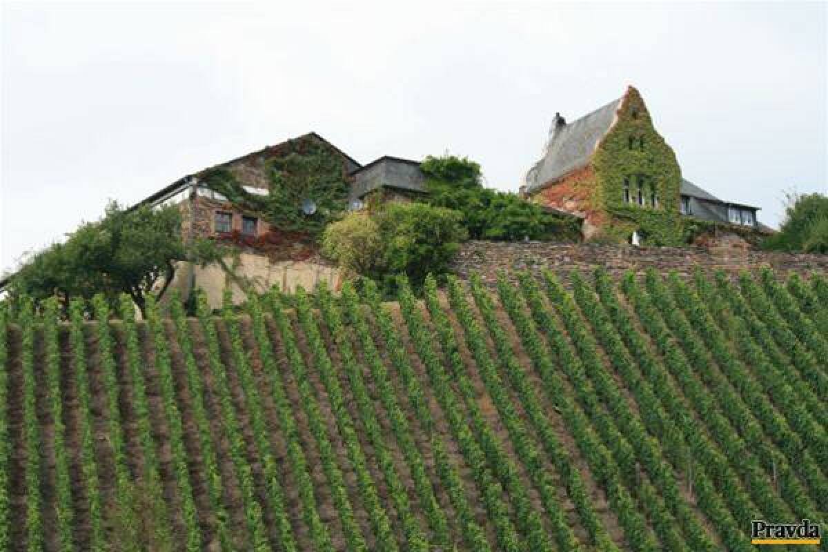 Luxembursko, vinice