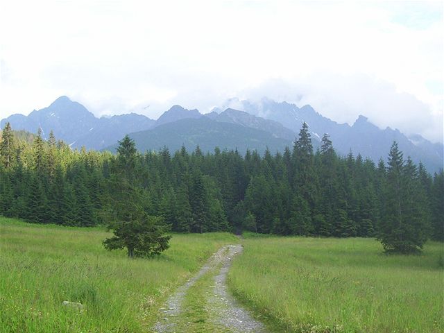 Javorová dolina