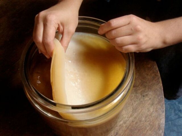 kombucha