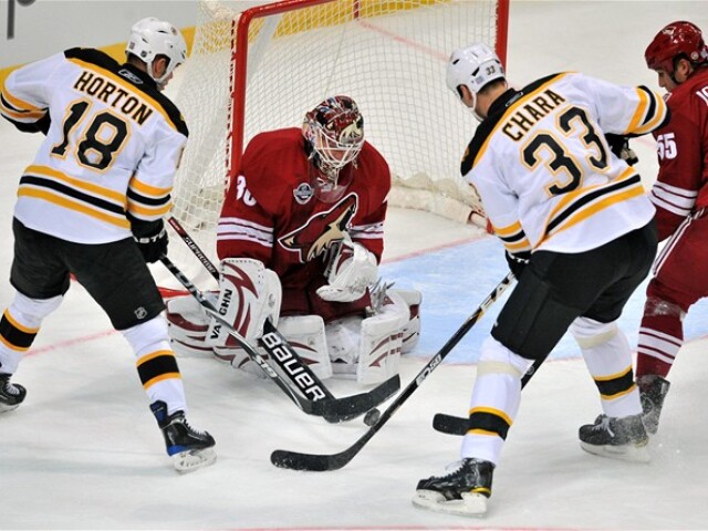 Boston Horton Chára