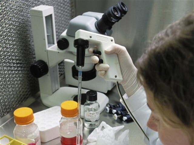 výskum, bunka, veda, laboratórium