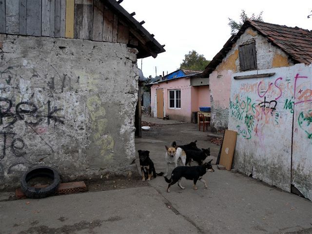 Plavecký Štvrtok, rómska osada, rómovia