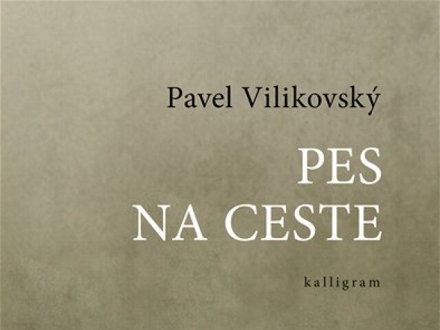 Pavel Vilikovský: Pes na ceste