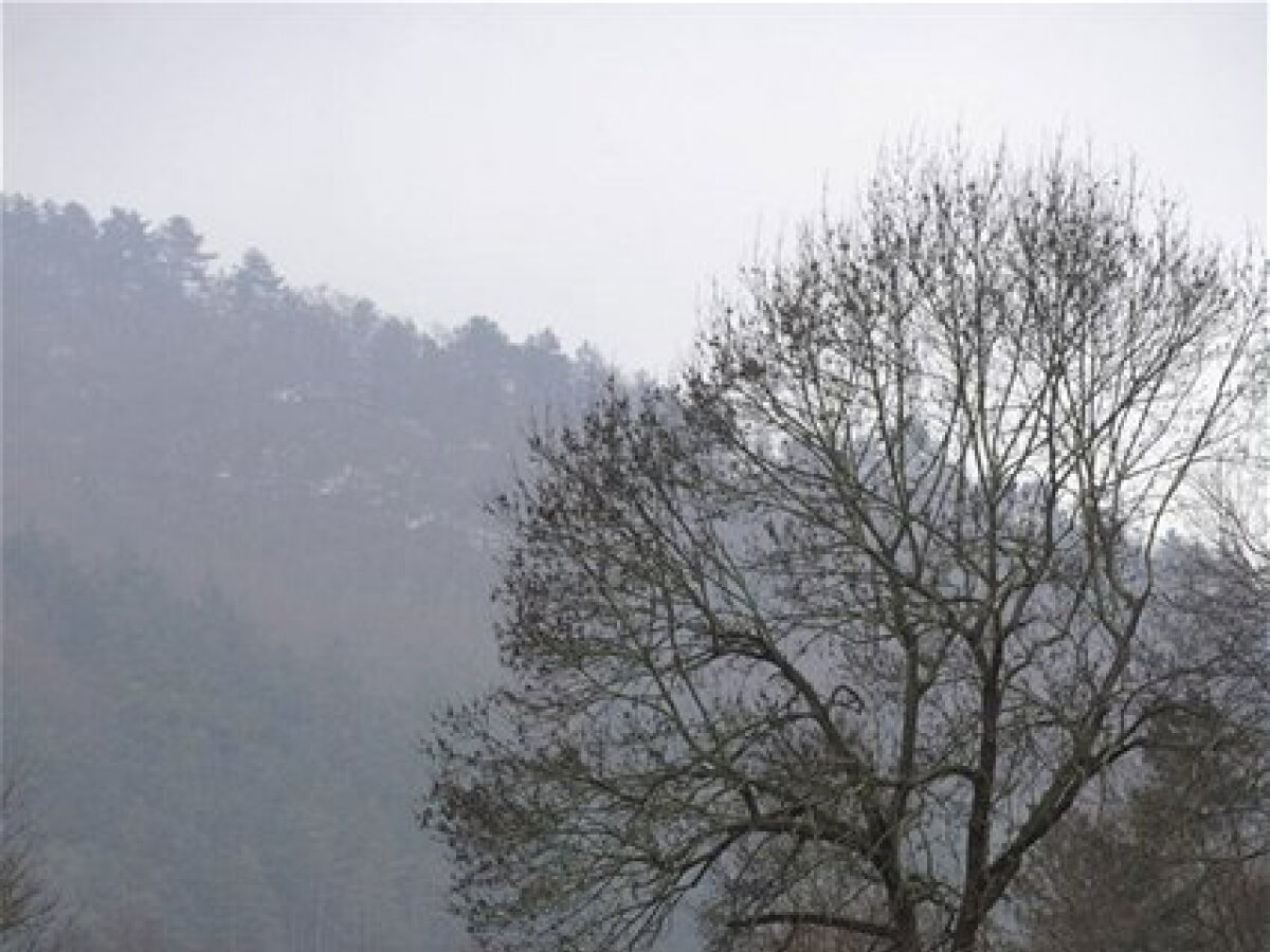 vlak, trať, koľajnice