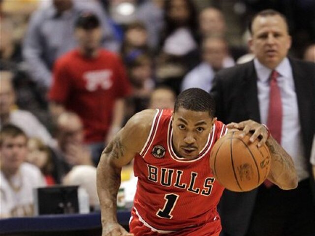 Chicago Rose