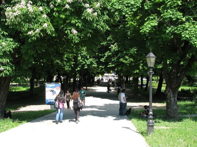 Košice, mestský park, stromy, výrub