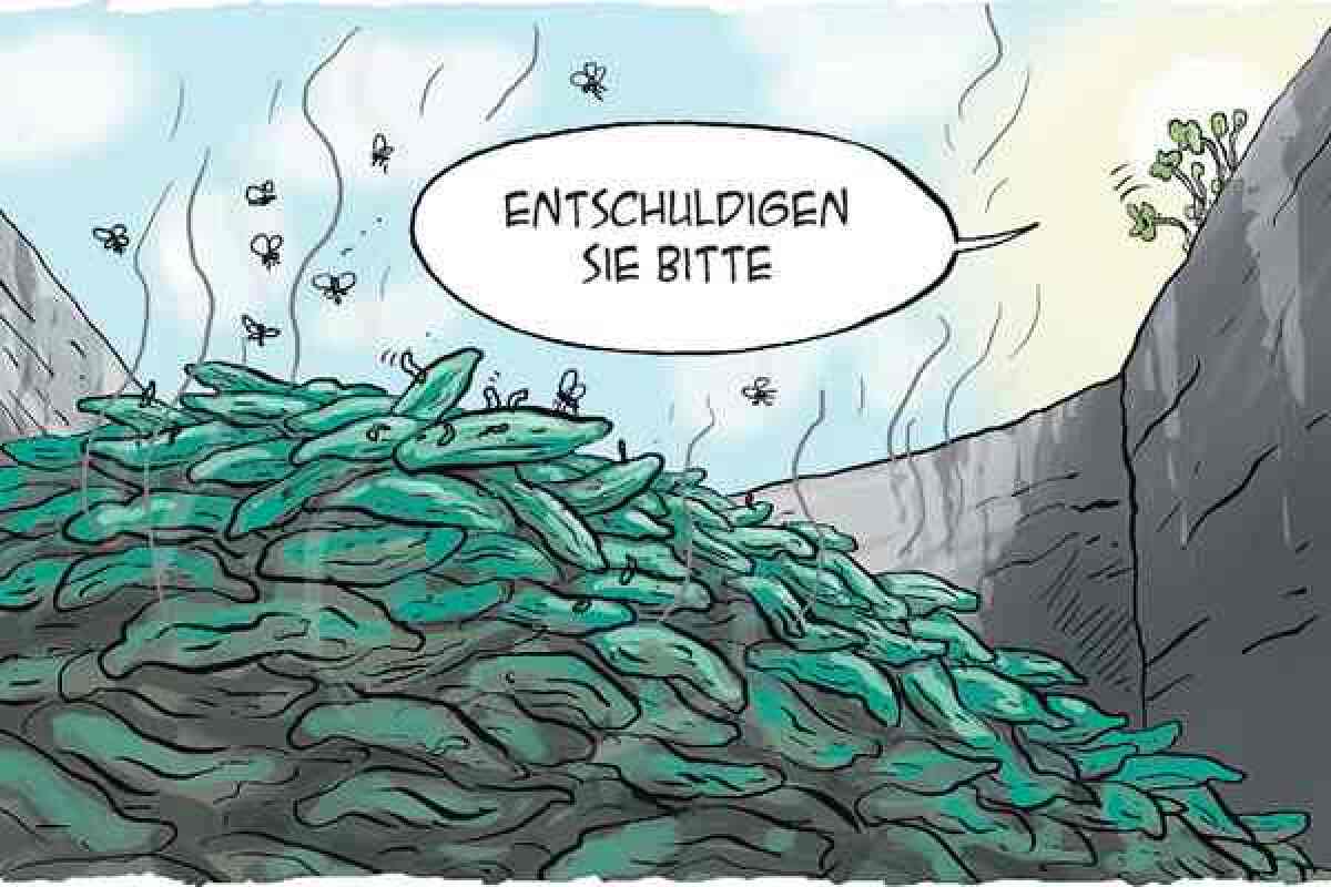 Danglár, 13.6.2011