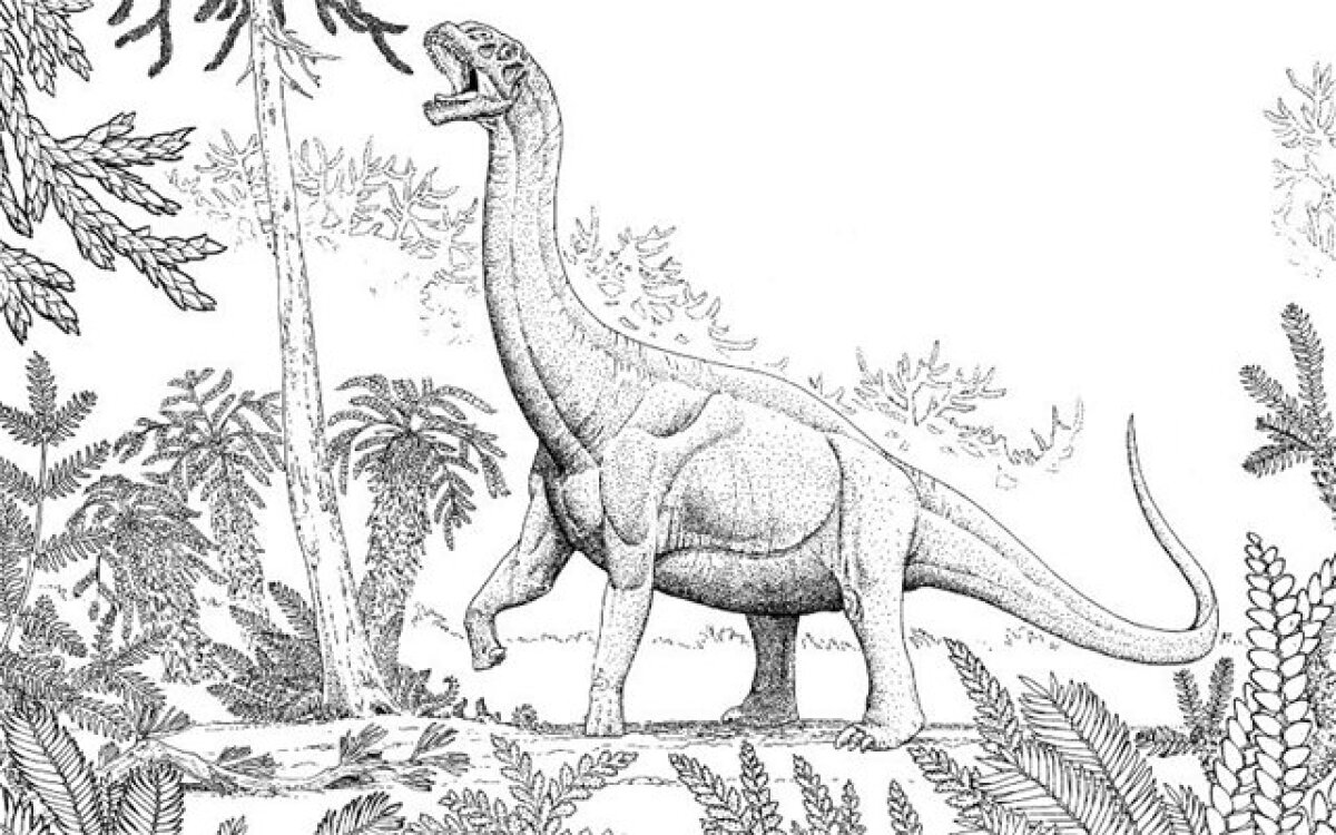 sauropodus, dinosaurus