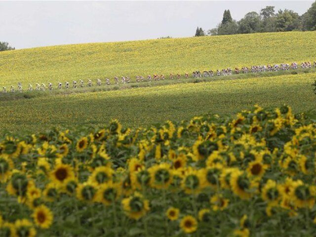 Tour de France
