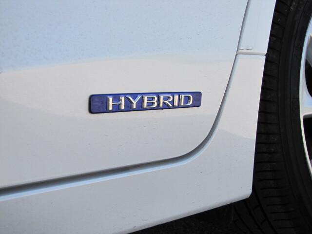 Hybridná technológia už prenikla aj medzi kompakty.