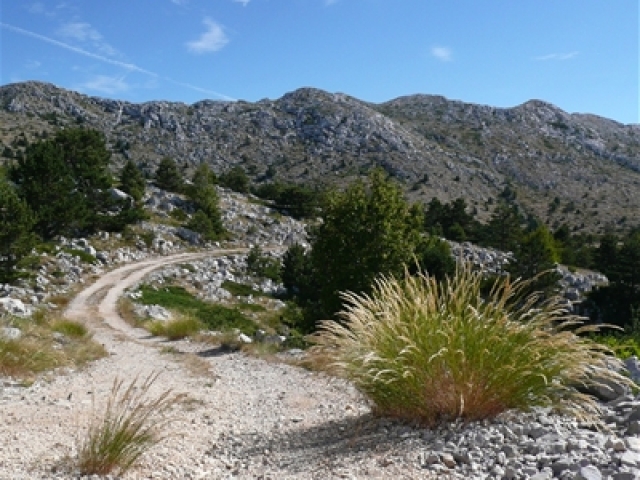 Chorvátsko, cyklistika, krajina, príroda