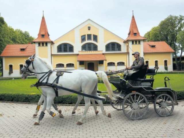 Žrebčín v Topoľčiankach