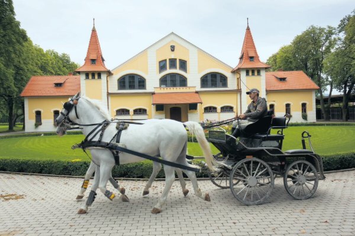 Žrebčín v Topoľčiankach
