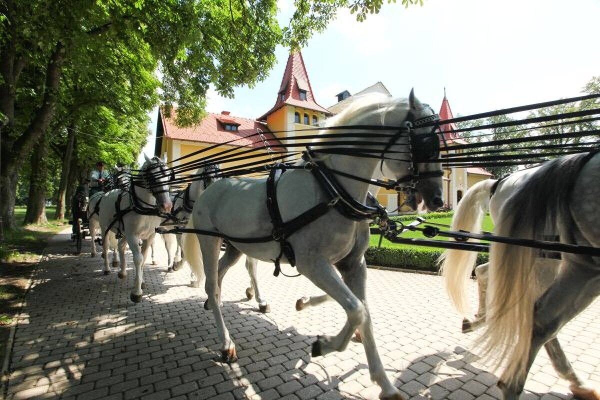 Žrebčín v Topoľčiankach