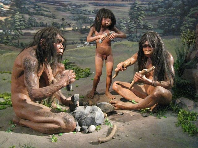 Homo erectus, doba kamenná, pästné kliny