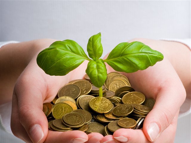 sporenie, vklad, mince, úroky, výnos, investovanie, investícia