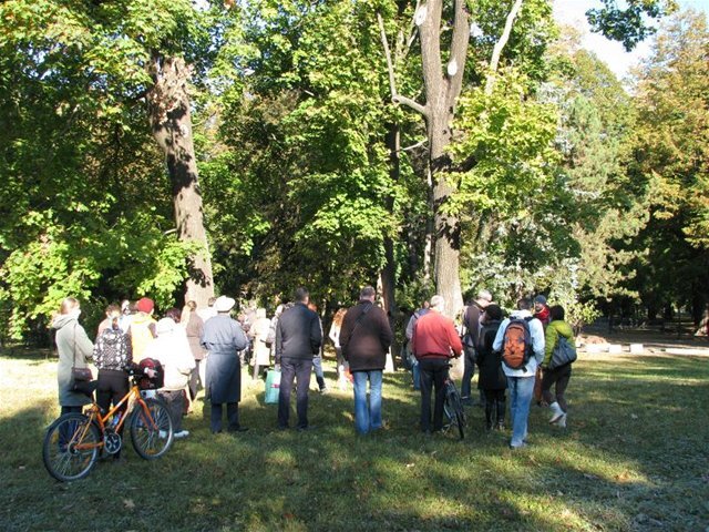 Košice, mestský park, výrub stromov