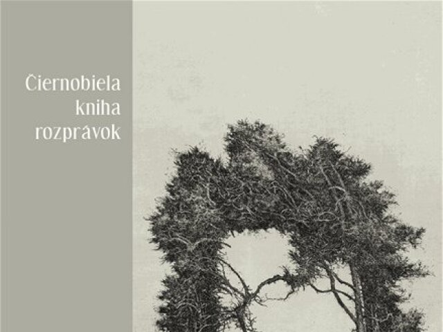Ľubomír Feldek, Albín Brunovský: Čiernobiela kniha rozprávok