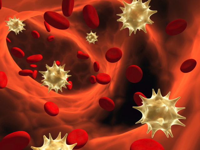 24-hiv-2x