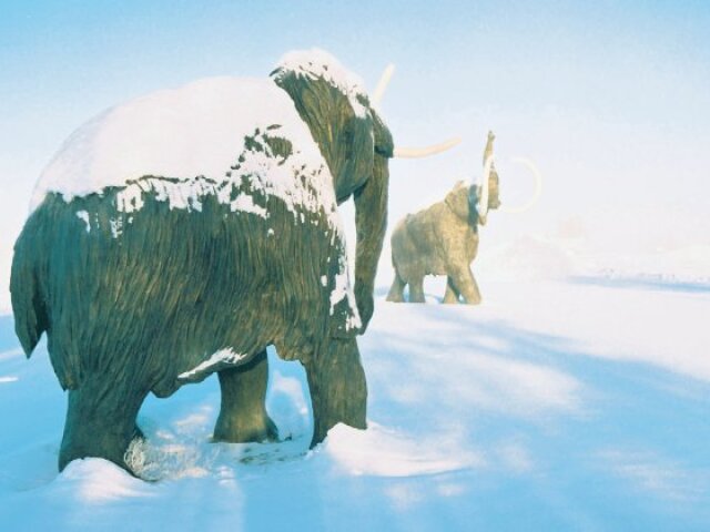 Mamut