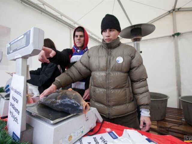 kapor, vianoce