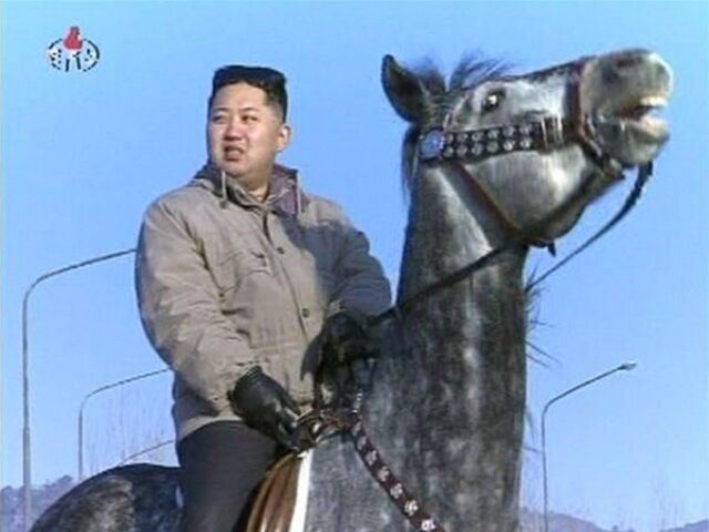 Kim Čong-un, Severná Kórea, KĽDR