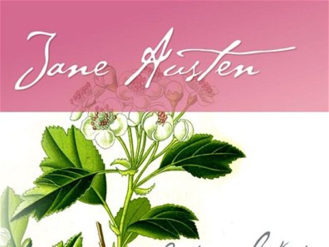 Jane Austenová: Láska slečny Elliotovej