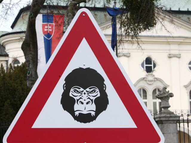 Gorila, protest