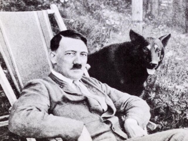 hitler, pes