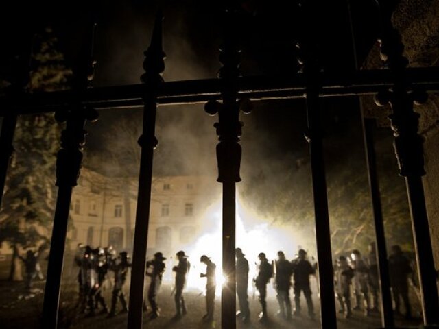gorila, úrad vlády, polícia, delobuch
