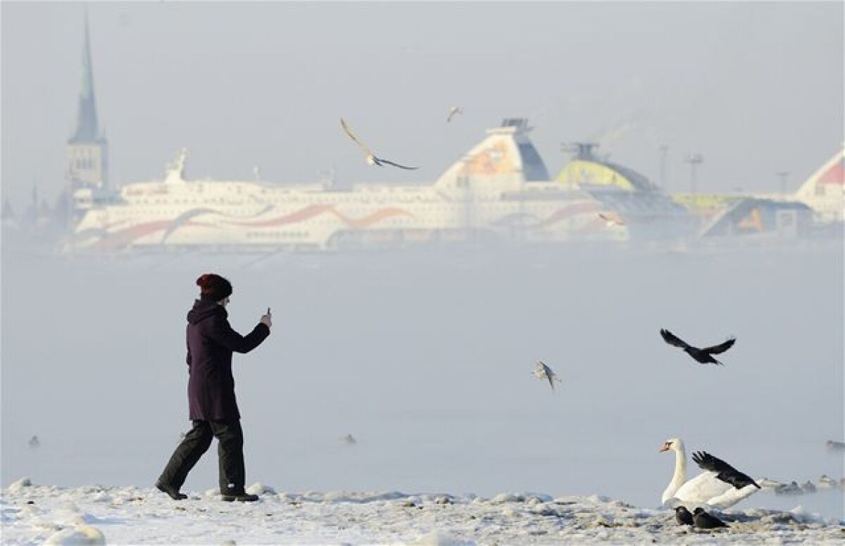 Tallinnský záliv, zima