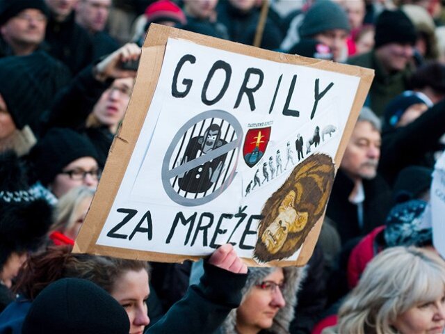 protest, Gorila