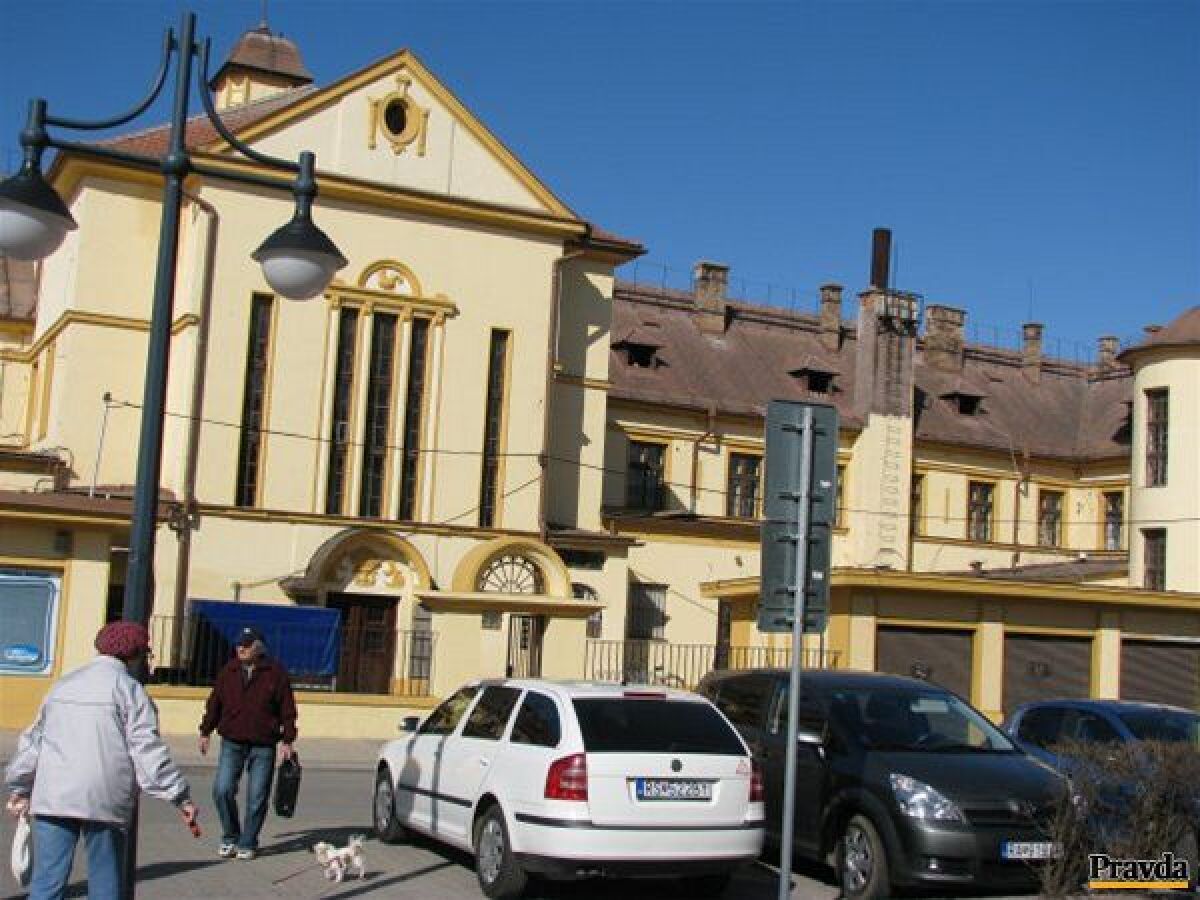 Tornaľa, holuby