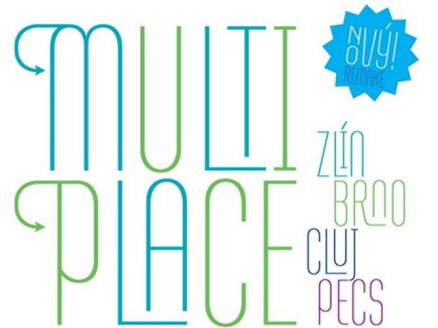 Multiplace 2012
